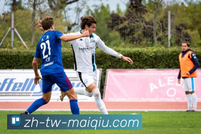 App Interface Preview